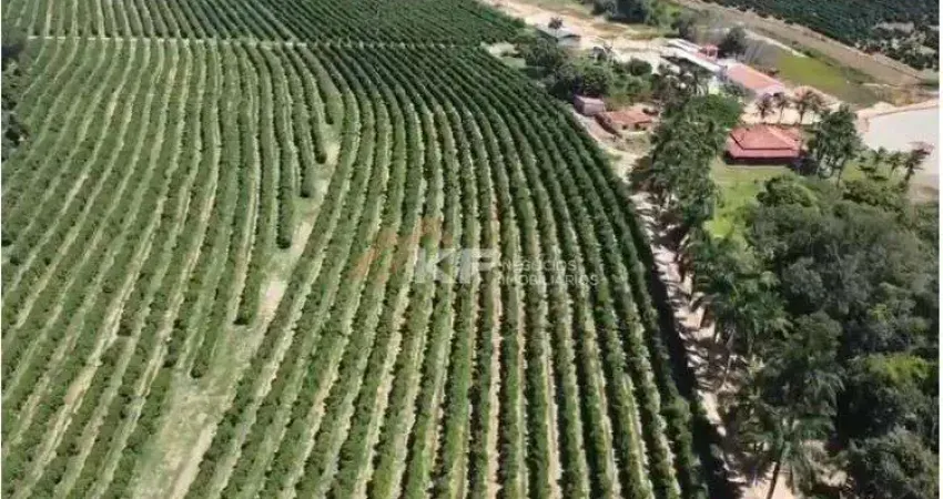 Fazenda à venda no Centro, Boa Esperança