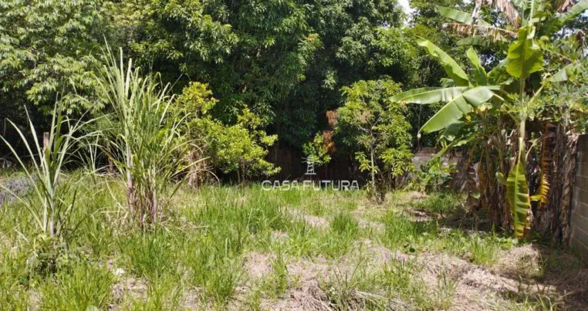 Terreno à venda, 280 m² por R$ 115.000,00 - Arrozal - Piraí/RJ