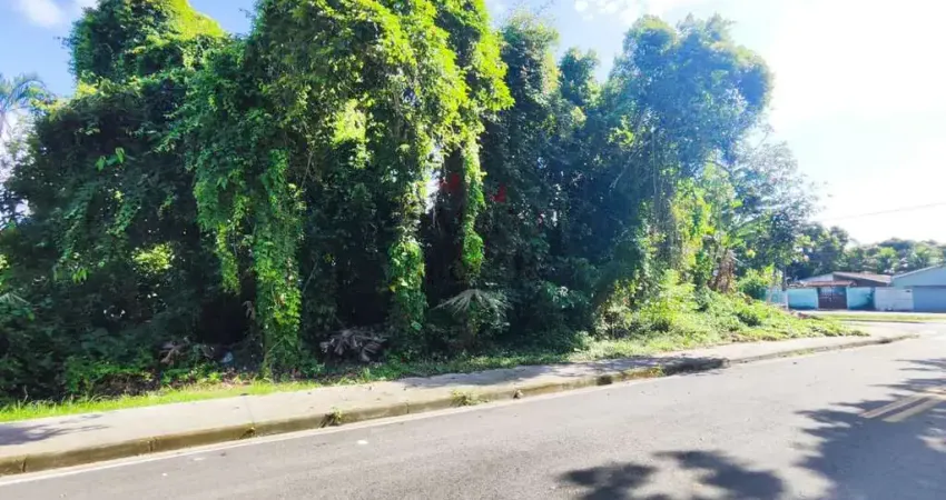 Terreno de esquina no bairro da Vista Alegre, em Bertioga.
