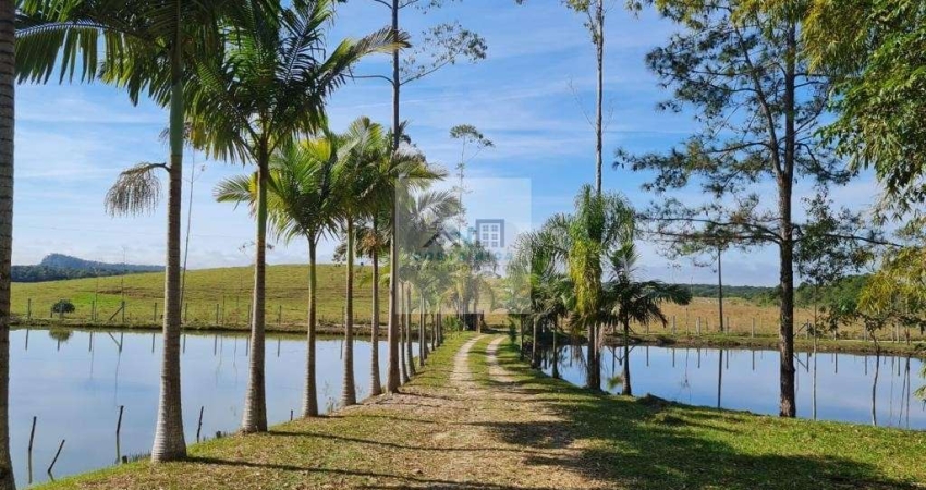 CHÁCARA no DISTRITO INDUSTRIAL SUL com 4 quartos para VENDA, 679 m²