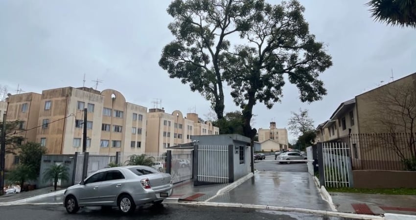 Apartamento Térreo para Locação Semimobiliado - 3 Quartos - Campo Comprido