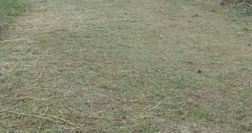 Terreno à venda no Jardim das Palmeiras, Itanhaém 