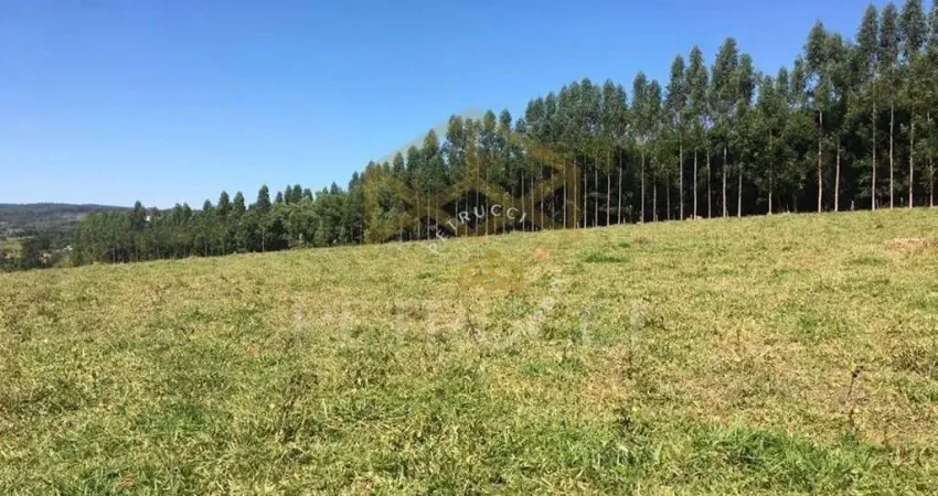 Terreno à venda, 4000 m² por R$ 2.000.000,00 - Sousas - Campinas/SP