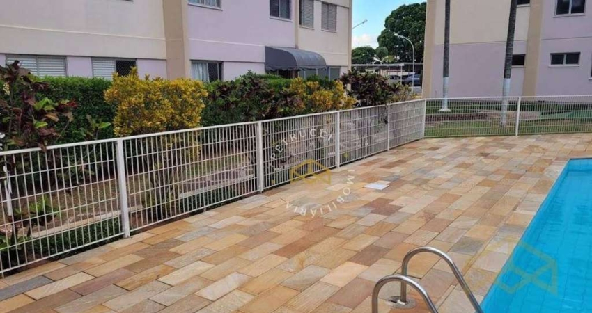 Apartamento Residencial à venda, Jardim Aero Continental, Campinas - AP8339.