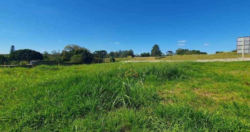 Terreno Residencial para venda e locação, Chácaras São Martinho, Campinas - TE3149.
