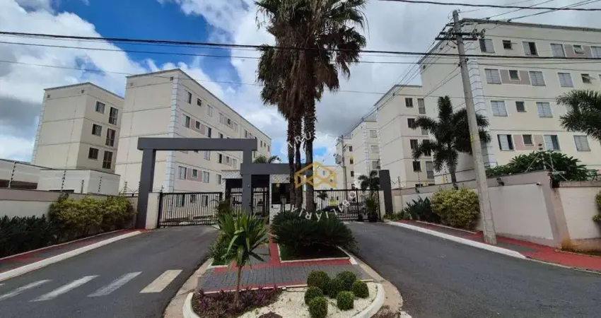 Apartamento com 2 dormitórios à venda, 42 m² por R$ 235.000,00 - Jardim Antonio Von Zuben - Campinas/SP