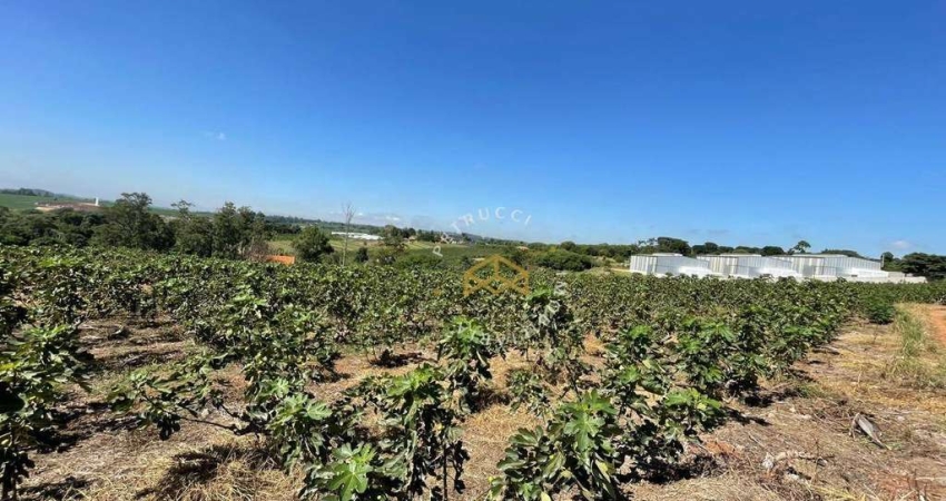 Área à venda, 45500 m² por R$ 4.880.000,00 - Jardim São Domingos - Campinas/SP