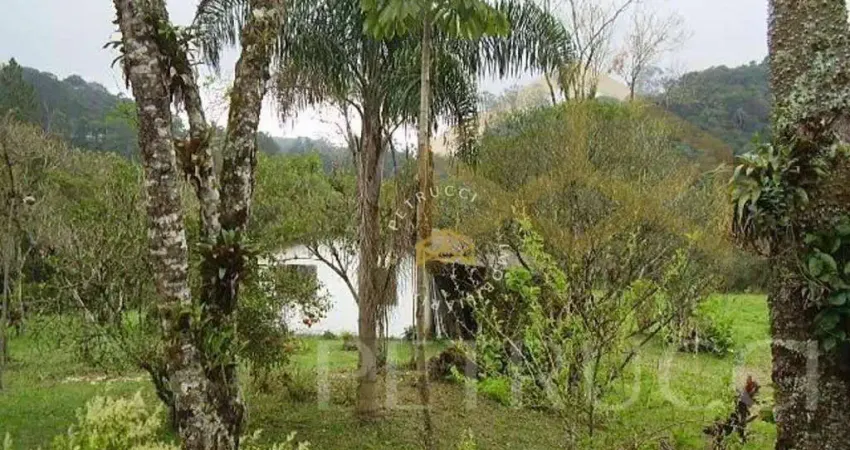 Sítio com 4 dormitórios à venda, 50000 m² por R$ 2.000.000,00 - Vila Moraes - Mogi das Cruzes/SP