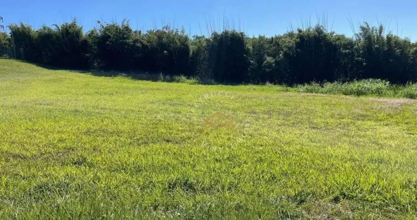 Terreno à venda, 800 m² por R$ 2.200.000,00 - Swiss Park - Campinas/SP