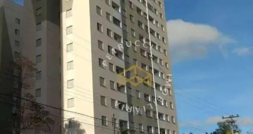 Apartamento com 3 dormitórios à venda, 55 m² - Parque Itália - Campinas/SP