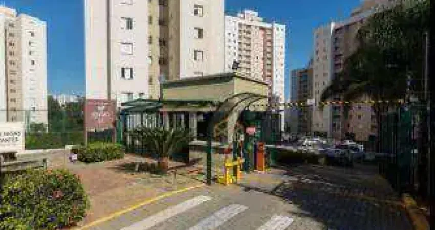 Lindo apartamento para venda e locação no residencial reviva