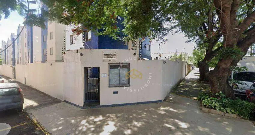 Apartamento à venda, 53 m² por R$ 270.000,00 - São Bernardo - Campinas/SP