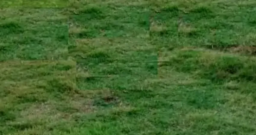 Casa à venda na Rua João Velosa do Amaral, Lote 15, 50, Parque Residencial Vale do Sol, Araraquara