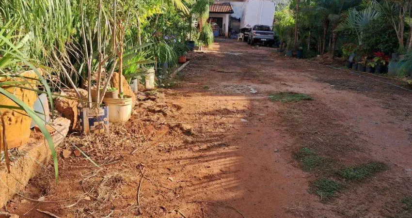 Terreno comercial para alugar na Rua Domingos Barbieri, Quadra 40 lote 3, Vila Harmonia, Araraquara
