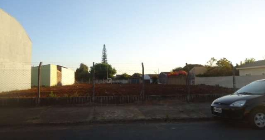 Terreno no Parque Santa Felícia Jardim em São Carlos