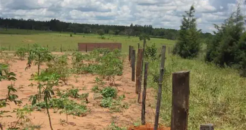 Fazenda à venda na Rua D, Rua D, Zona Rural, Ribeirão Bonito