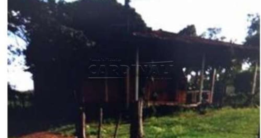 Rural Sítio em São Carlos