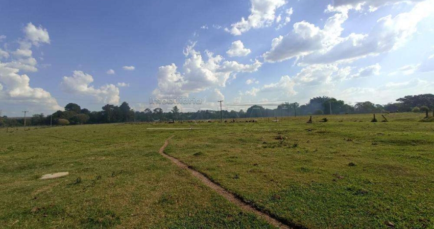 Fazenda à venda na Rua Homero Cardoso de Toledo, ÁREA B1 C, Loteamento Tutoya do Vale, São Carlos
