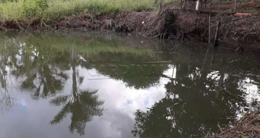 Fazenda à venda na Rodovia Washington Luiz, Laudicéia, Km 225, Área Rural de São Carlos, São Carlos