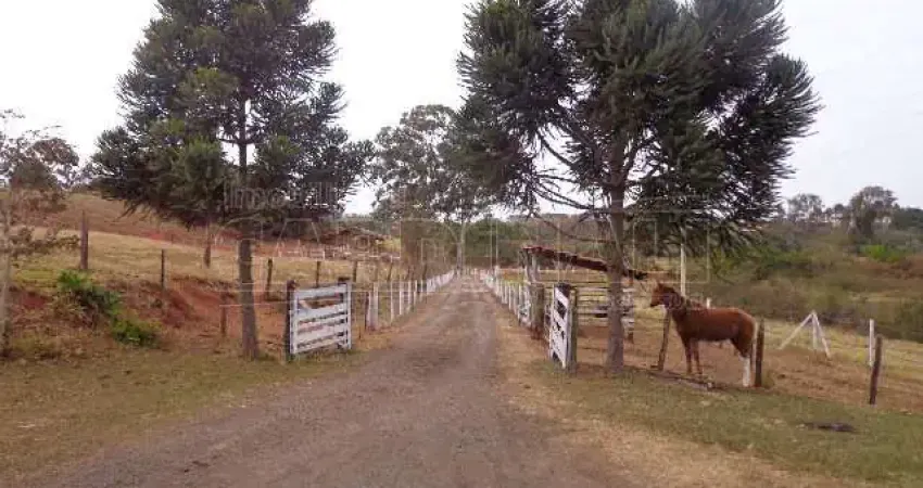 Fazenda à venda na Avenida Capitão Luiz Brandão, Gleba A, Jardim Santa Maria II, São Carlos