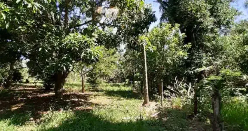 Fazenda à venda na Rodovia SP15, Que liga Ribeirão bonito a Brotas, S/N, Zona Rural, Ribeirão Bonito