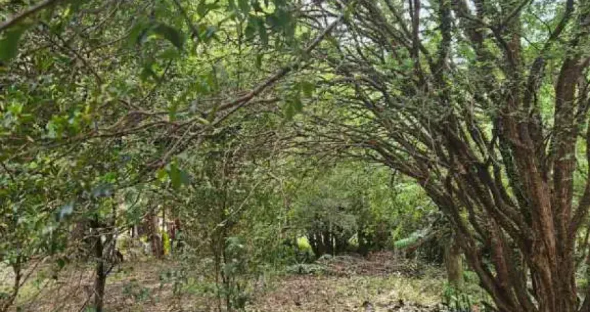 Casa com 3 quartos à venda na Rua Sete de Setembro, chácara na cidade, 4184, Vila Rancho Velho, São Carlos