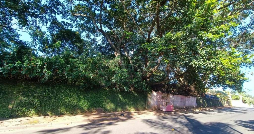 Terreno comercial para alugar na Rua Fritz Johansen, Vila Elizabeth, São Carlos