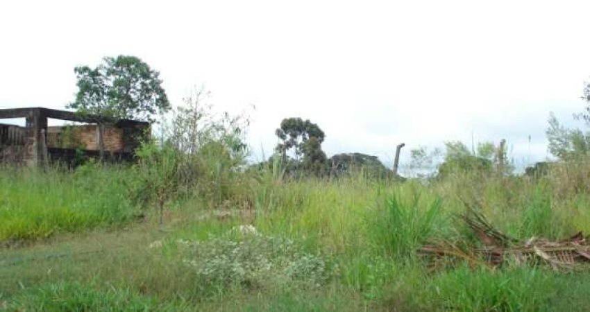 Barracão / Galpão / Depósito à venda na Rodovia Luís Augusto de Oliveira, Lote 45 e 47 Quadra A, Área Rural de São Carlos, São Carlos