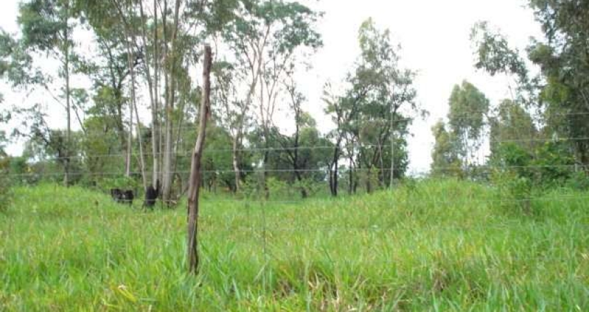 Barracão / Galpão / Depósito à venda na Rodovia Luís Augusto de Oliveira, Lote 39 e 41 Quadra A, Área Rural de São Carlos, São Carlos