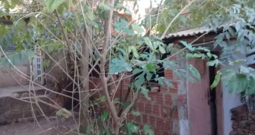 Casa com 2 quartos à venda na Rua Francisco Fiorentino, 898, Vila Boa Vista, São Carlos