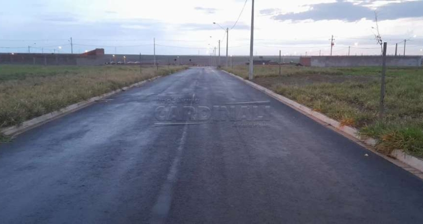 Terreno Padrão em São Carlos