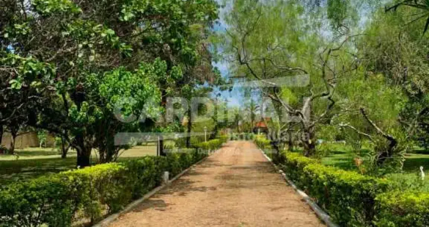 Fazenda à venda na Rua Doutor Ailton Antônio Calvo, 83, Tibaia de São Fernando, São Carlos