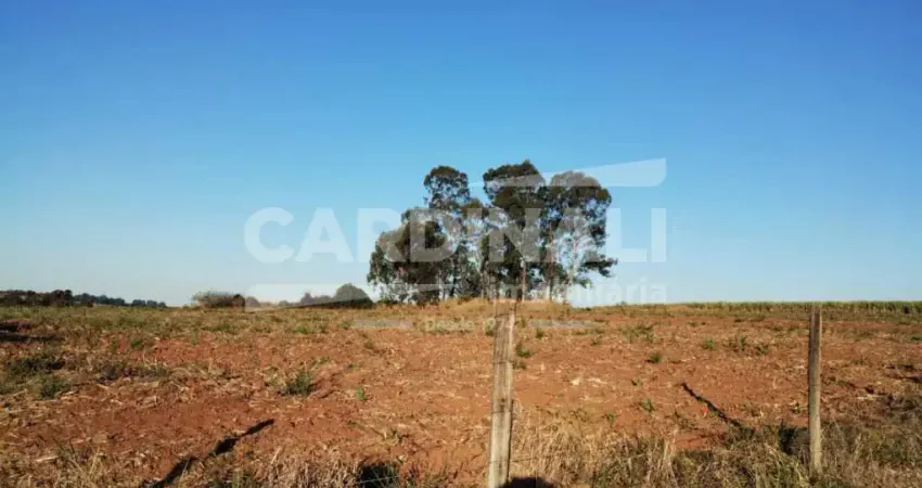 Fazenda à venda na ESTRADA MUNICIPAL LEONCIO ZAMBEL - APARECIDA DA BABILONIA, GLEBA AZ - FAZ SANTA MARIA, S/N, Área Rural de São Carlos, São Carlos