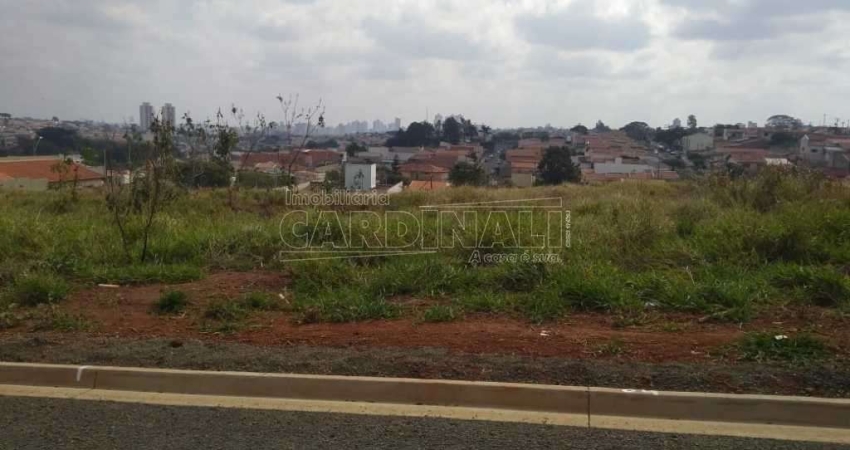 Terreno Padrão em São Carlos