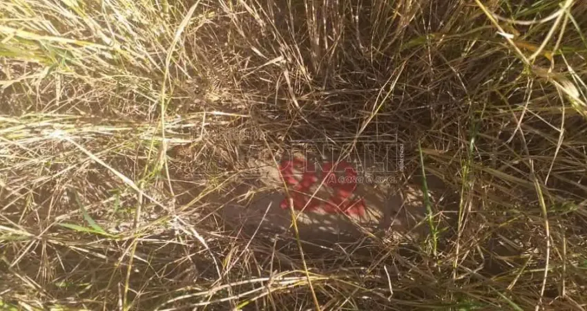 Terreno à venda na Rua João Gaban, 0, Jardim do Bosque, São Carlos