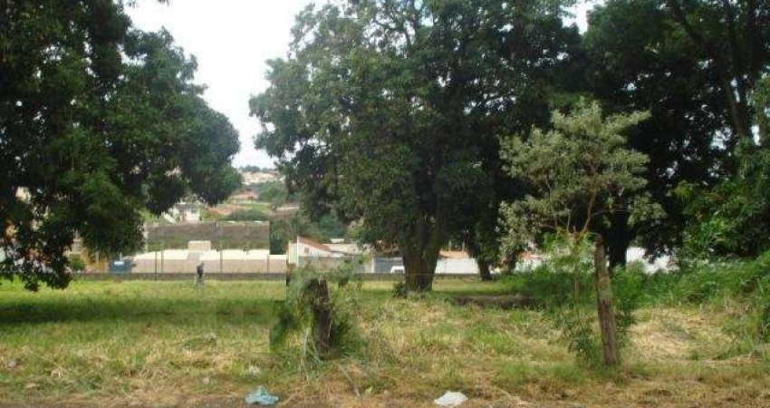 Terreno Padrão em São Carlos
