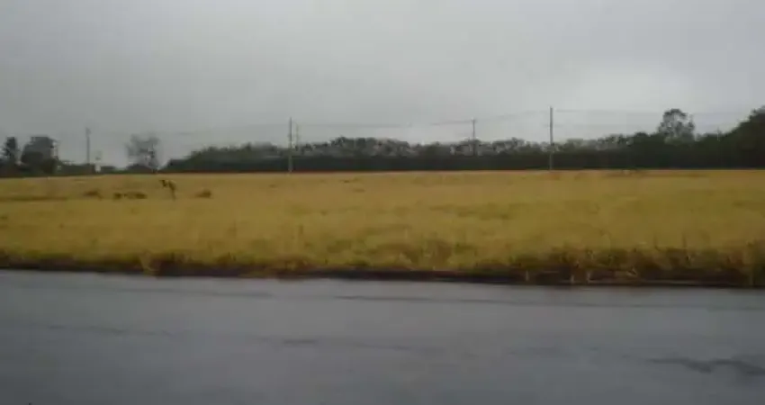 Terreno à venda na Rua Jardim Vista Alegre, , Lote 28, Quadra 02, 28, Loteamento Jardim Vista Alegre, São Carlos