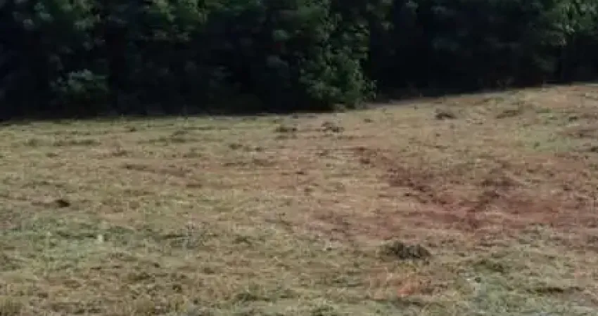 Terreno à venda na Avenida Professor José Clozel, Jardim Morumbi, Araraquara