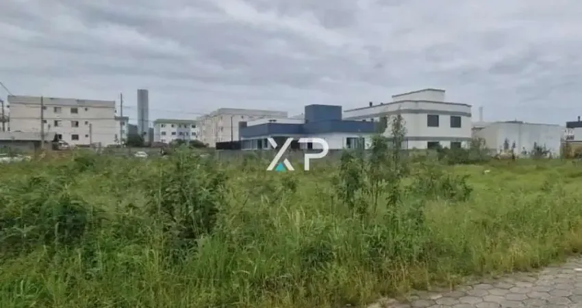 Terreno à venda na Rua Engenheiro Sérgio José Novello, Lote 3 Qua, Guarda do Cubatão, Palhoça