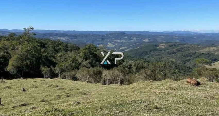 TERRENO A VENDA ANITÁPOLIS COM 20000 M²