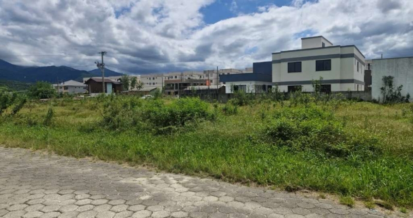Terreno à venda na Rua Engenheiro Sergio José Novello, 1, Guarda do Cubatão, Palhoça