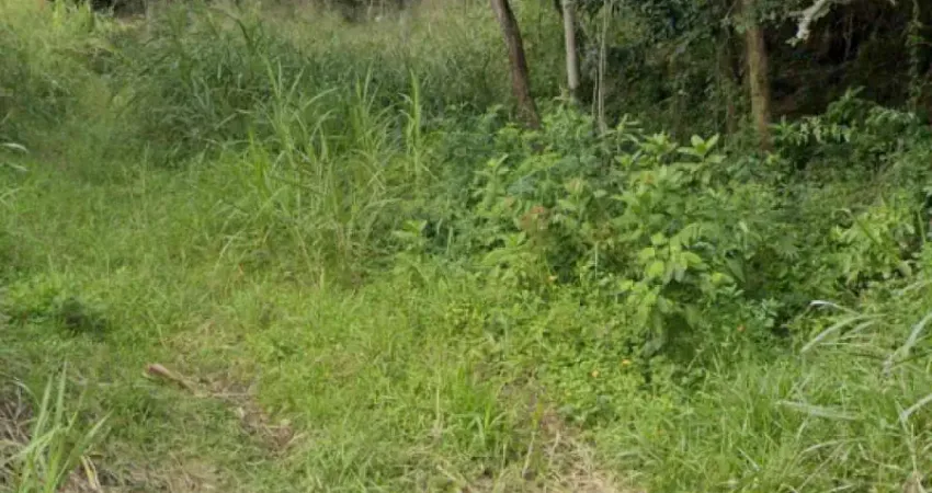 Terreno com 381m2 na rua aracua, pantanal, florianópolis/sc