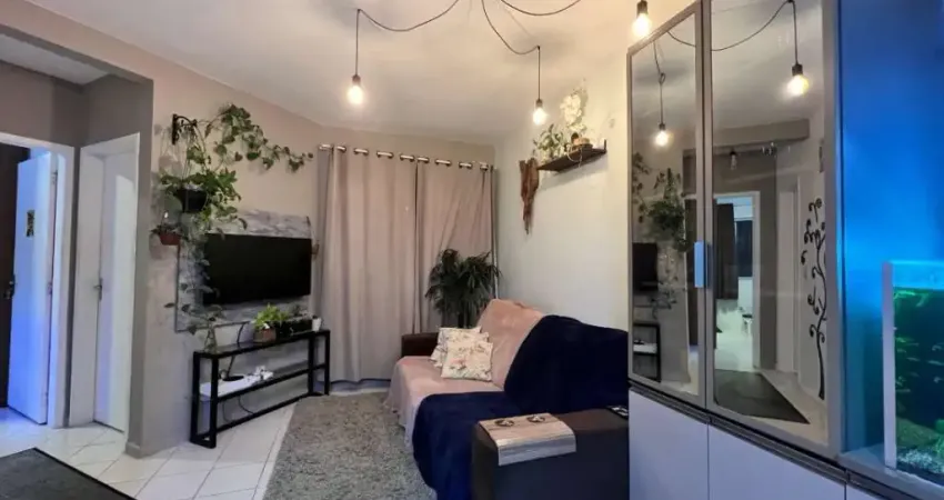 Apartamento com 2 quartos à venda na Rua Eugênia Pereira Cardoso, 423, Aririu, Palhoça