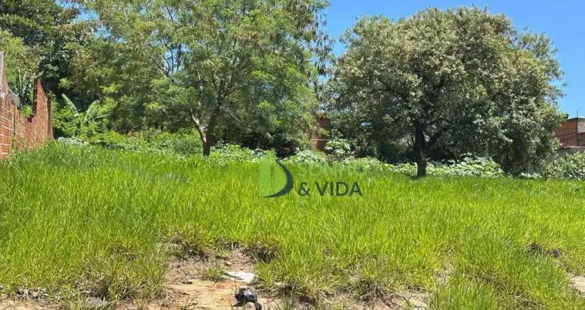 Terreno à venda, 250 m² por R$ 90.000,00 - Cidade Satélite Íris - Campinas/SP