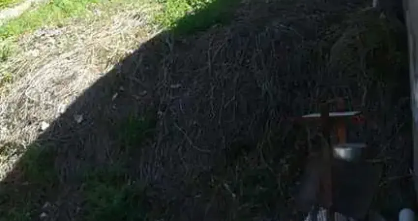 Casa com 1 quarto à venda na Vila Nova Mazzei, São Paulo