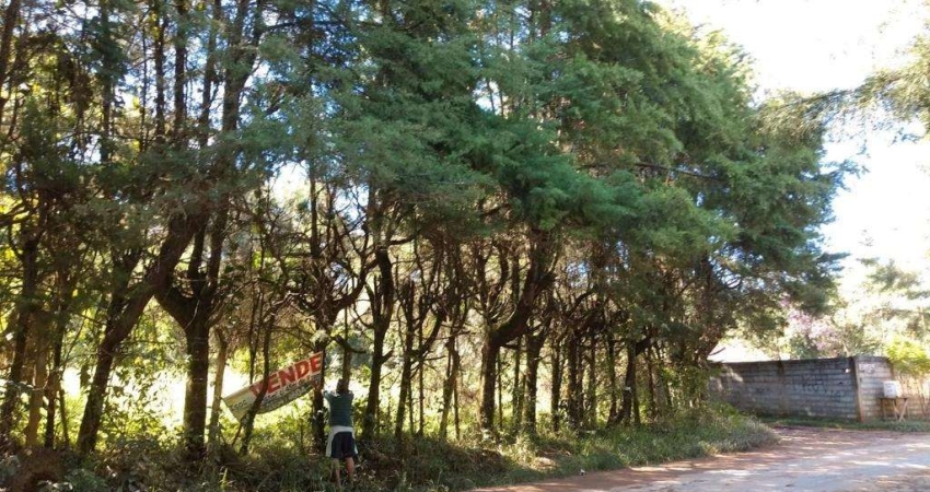 Terreno à venda no Mato Dentro, Mairiporã 
