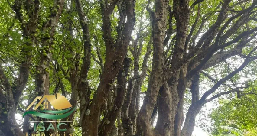 Chácara / sítio com 1 quarto à venda em Luiz Fagundes, Mairiporã