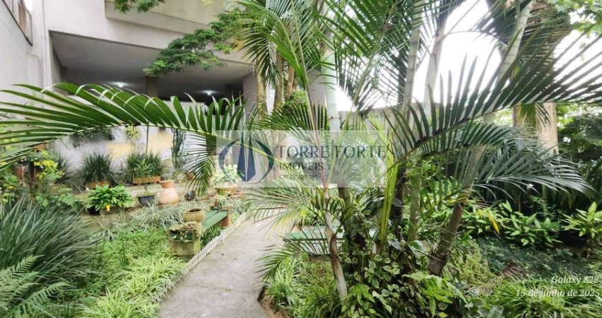 Belo Apartamento com 3 Dormitórios em Vila Floresta