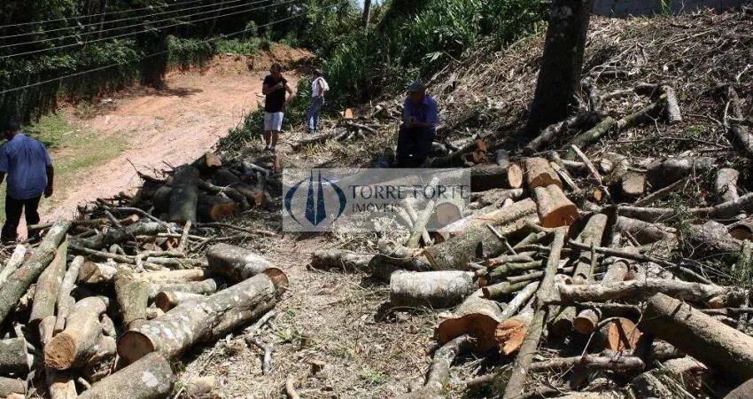 Terreno à venda na Rua Dona Amélia de Beauhamais, 320, Roseira, Mairiporã