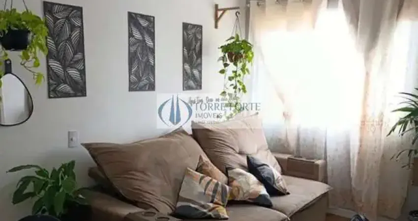 Lindo apartamento 2 dormitórios, 1 suite e 1 vaga Jardim Brasilia.